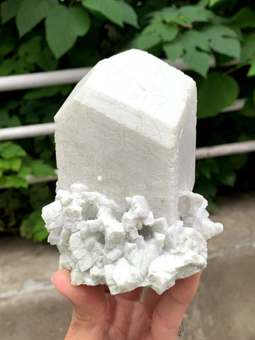 Lovely Milky White Microcline Feldspar On Cleavelandite With Quartz