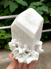 Lovely Milky White Microcline Feldspar On Cleavelandite With Quartz