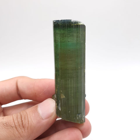 Lovely Mint-Green Color Tourmaline With Perfect Side Xl