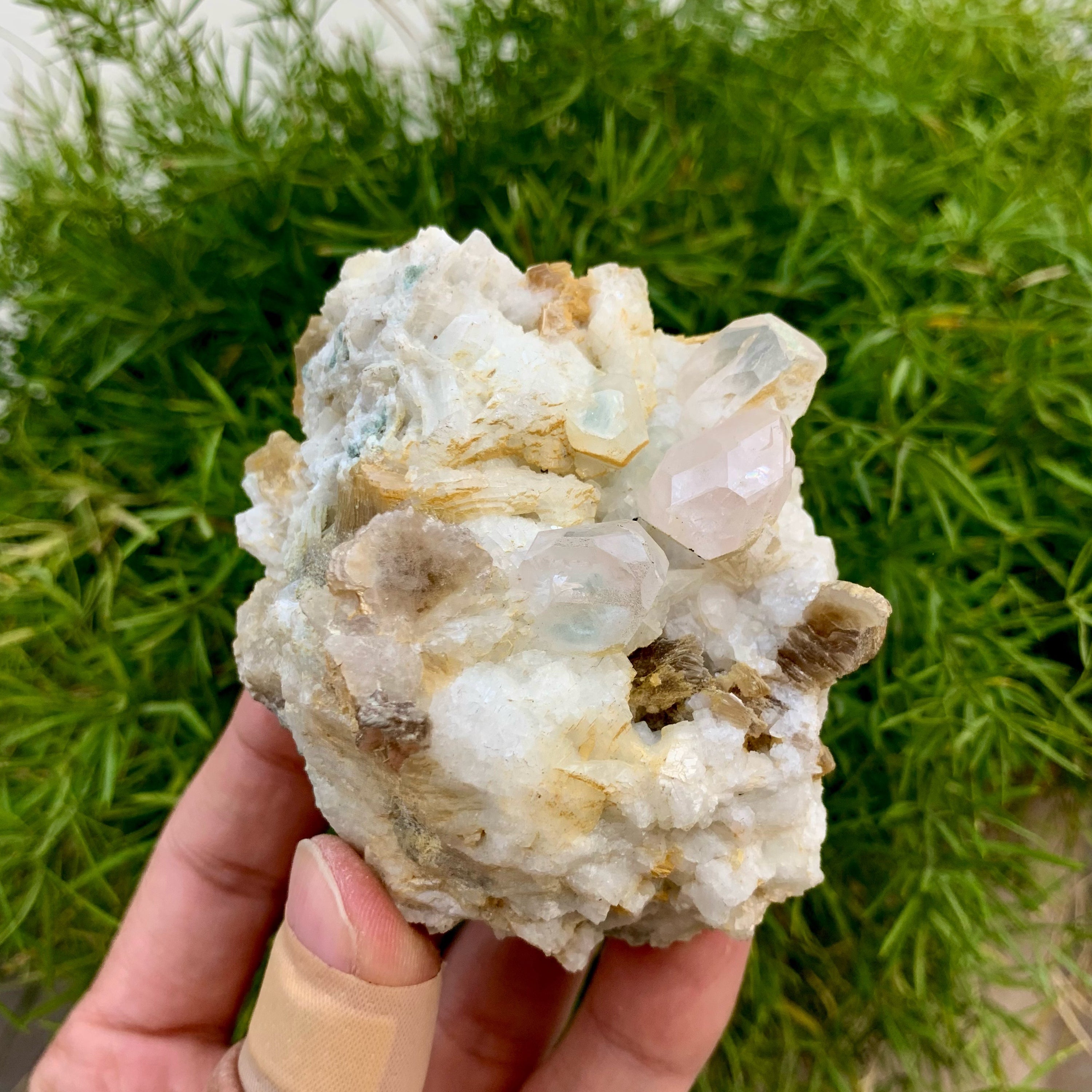 Lovely Morganite Crystals With Muscovite Nicely Positioned On White Albite Matrix