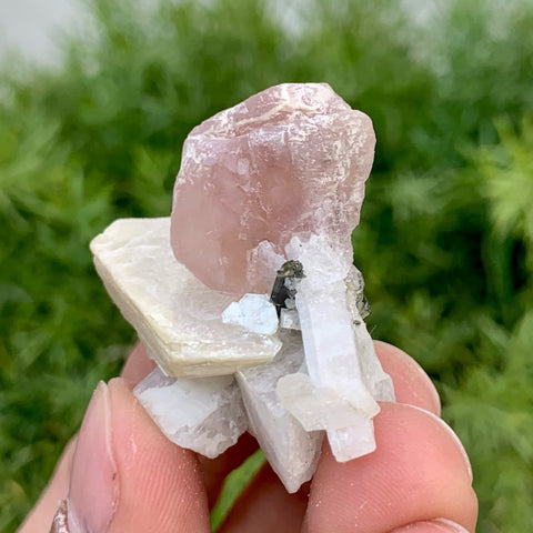 Lovely Pink Apatite nicely positioned on Mica with Tourmaline