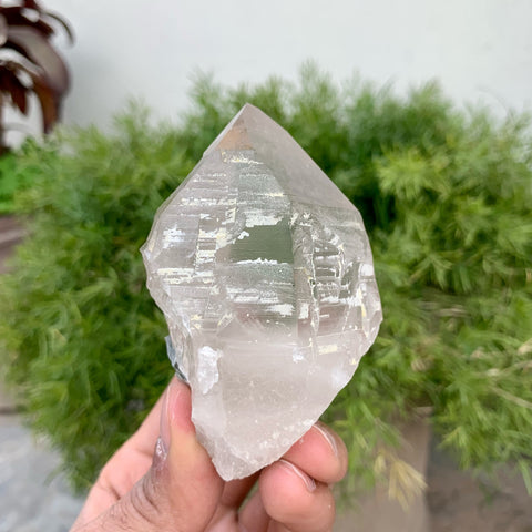 Lovely Pointed Terminated Smoky Quartz With Muscovite Mica