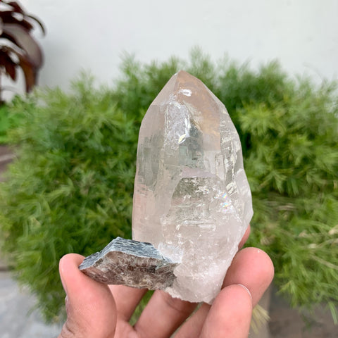 Lovely Pointed Terminated Smoky Quartz With Muscovite Mica
