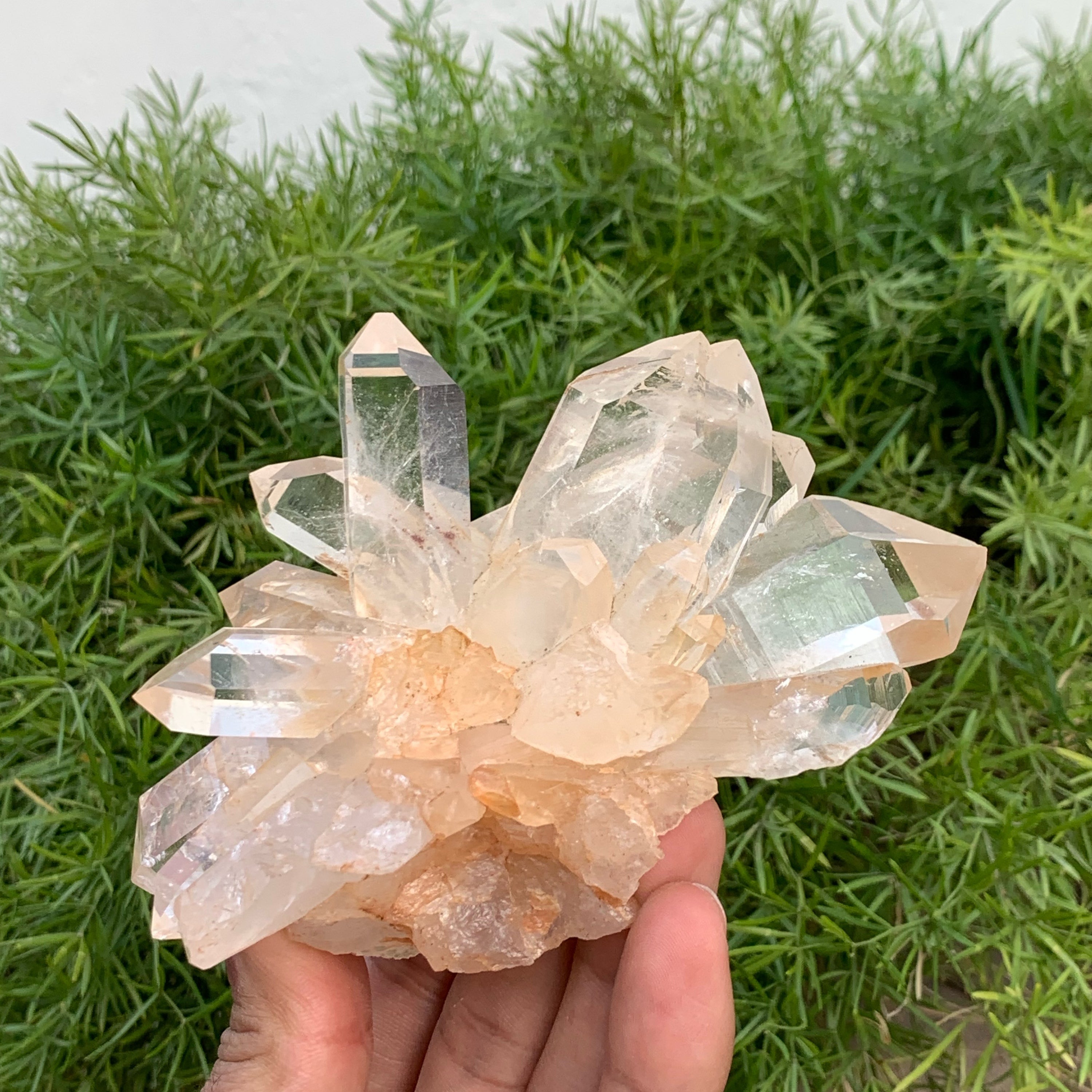 Lovely Quartz Bouquet Of Crystals
