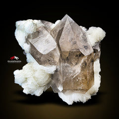 Lovely Smoky Quartz Crystals On Snowy White Cleavelandite