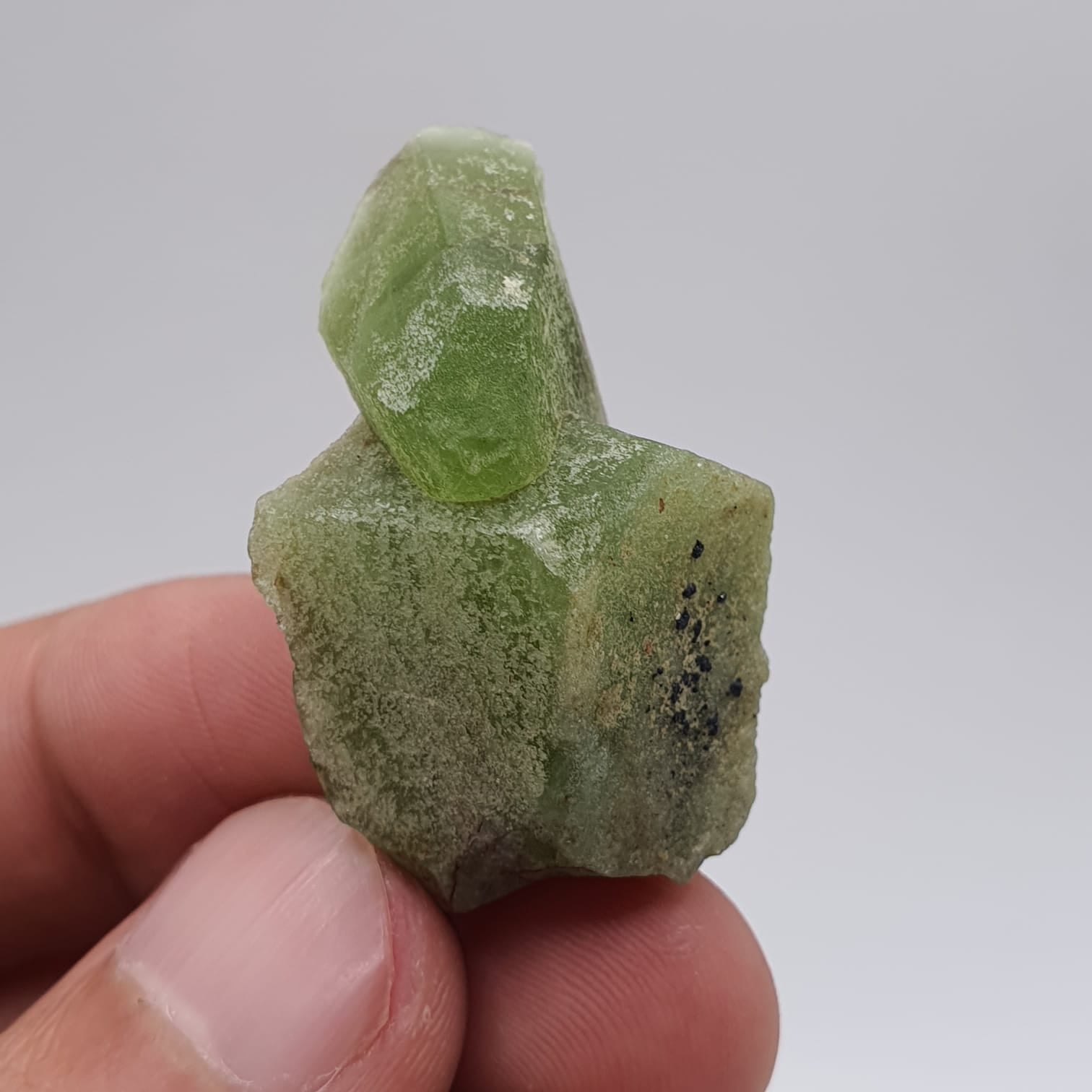 Lovely Apple-Green Peridot With Magnetite Crystals