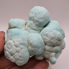 Lovely Botryoidal Aggregate Of Blue Aragonite