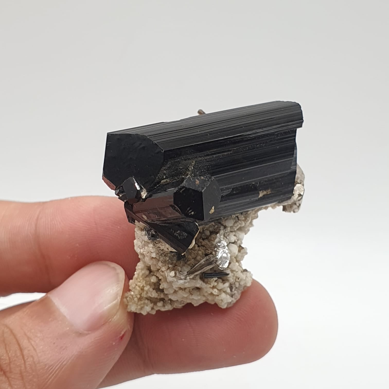 Lusterious And Glassy Faced Schorl Aka Black Tourmaline With White Albite