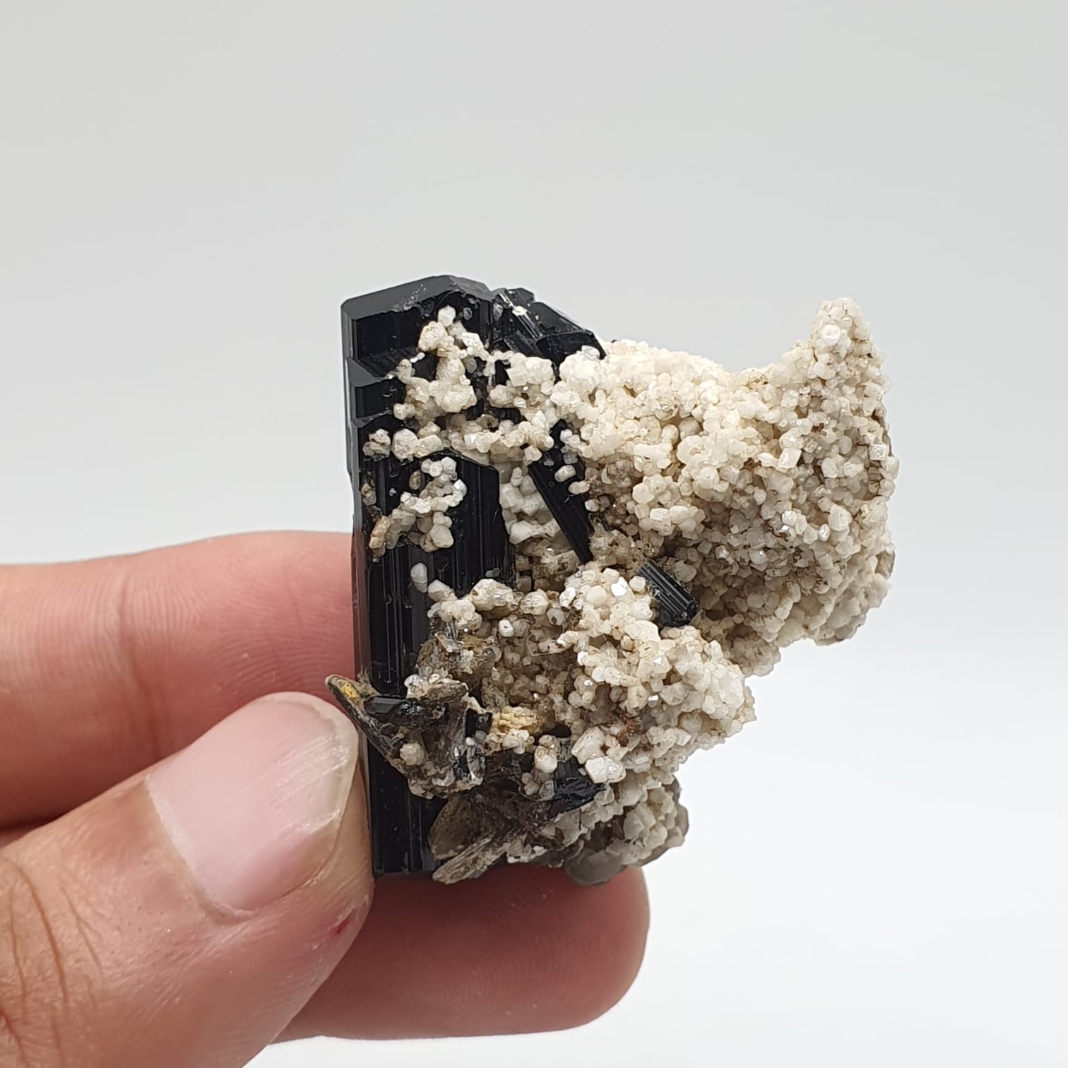 Lusterious And Glassy Faced Schorl Aka Black Tourmaline With White Albite