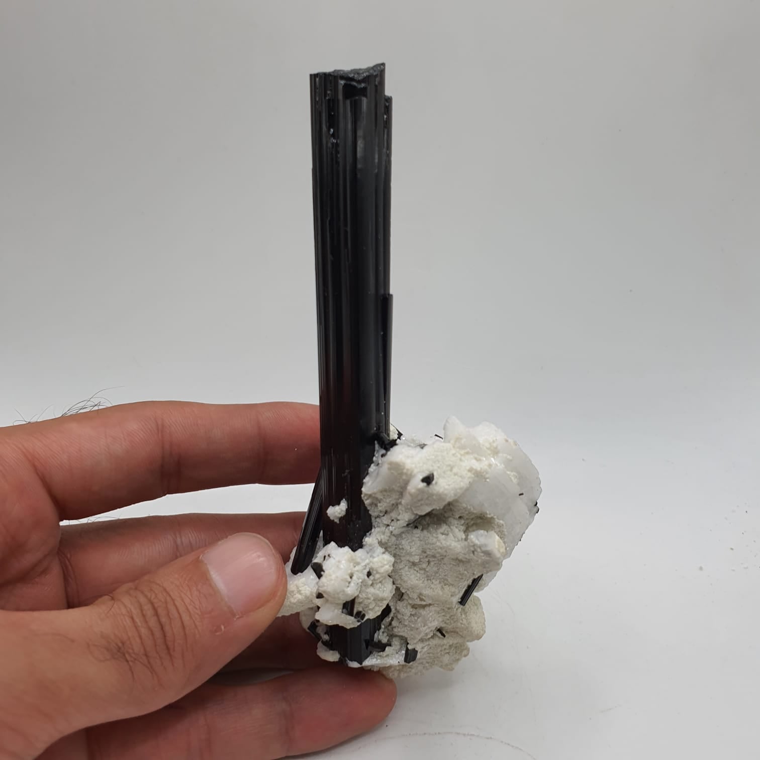 Lusterious And Highly Striated Schorl Crystal On White Albite
