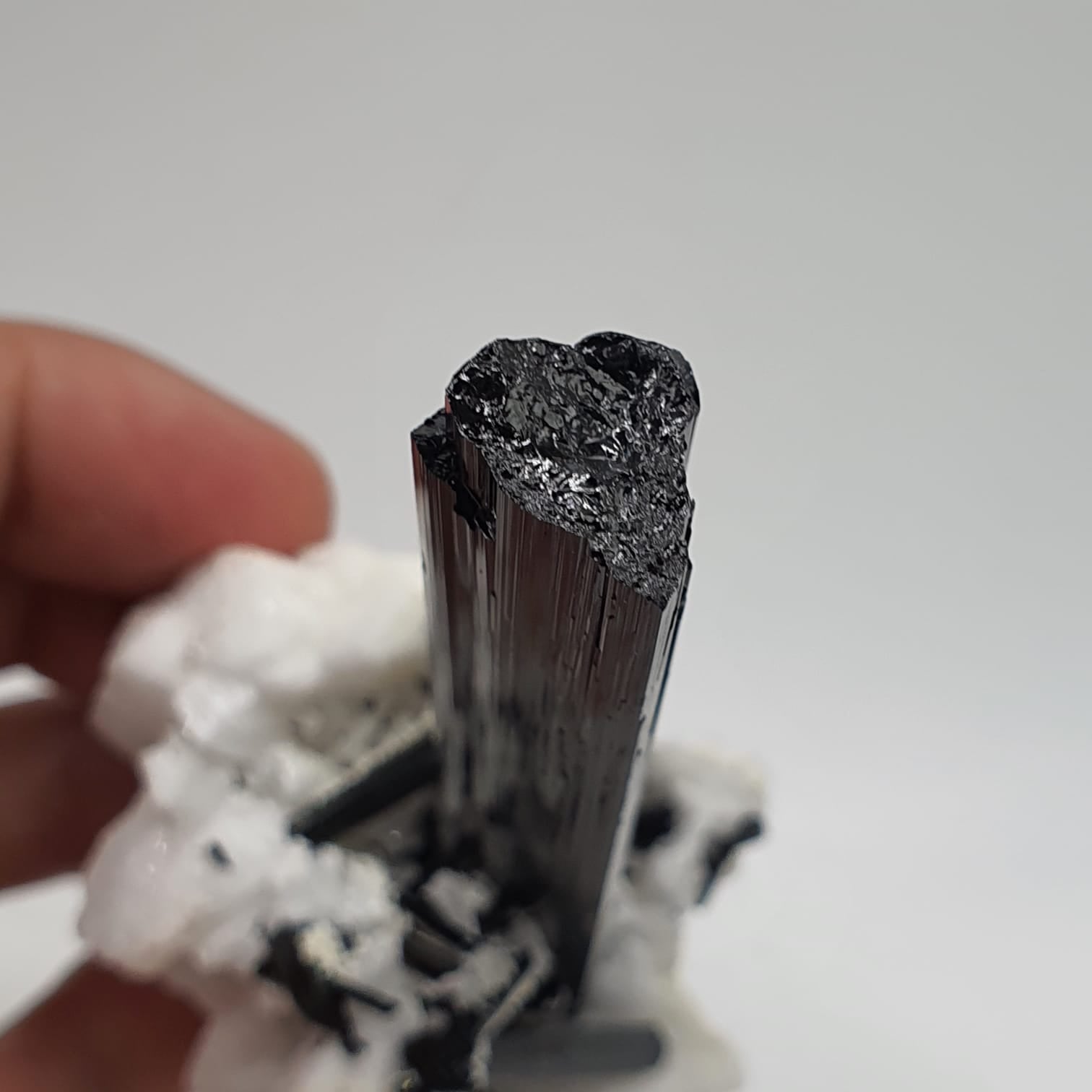 Lusterious And Highly Striated Schorl Crystal On White Albite