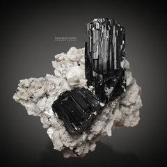 Lustrous Fatty Schorl Crystals Perched on Cleavelandite Matrix