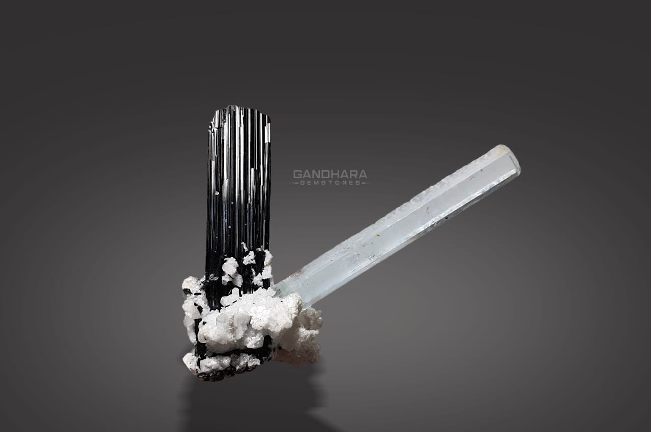 Lustrous Schorl Crystal with Aquamarine on Albite