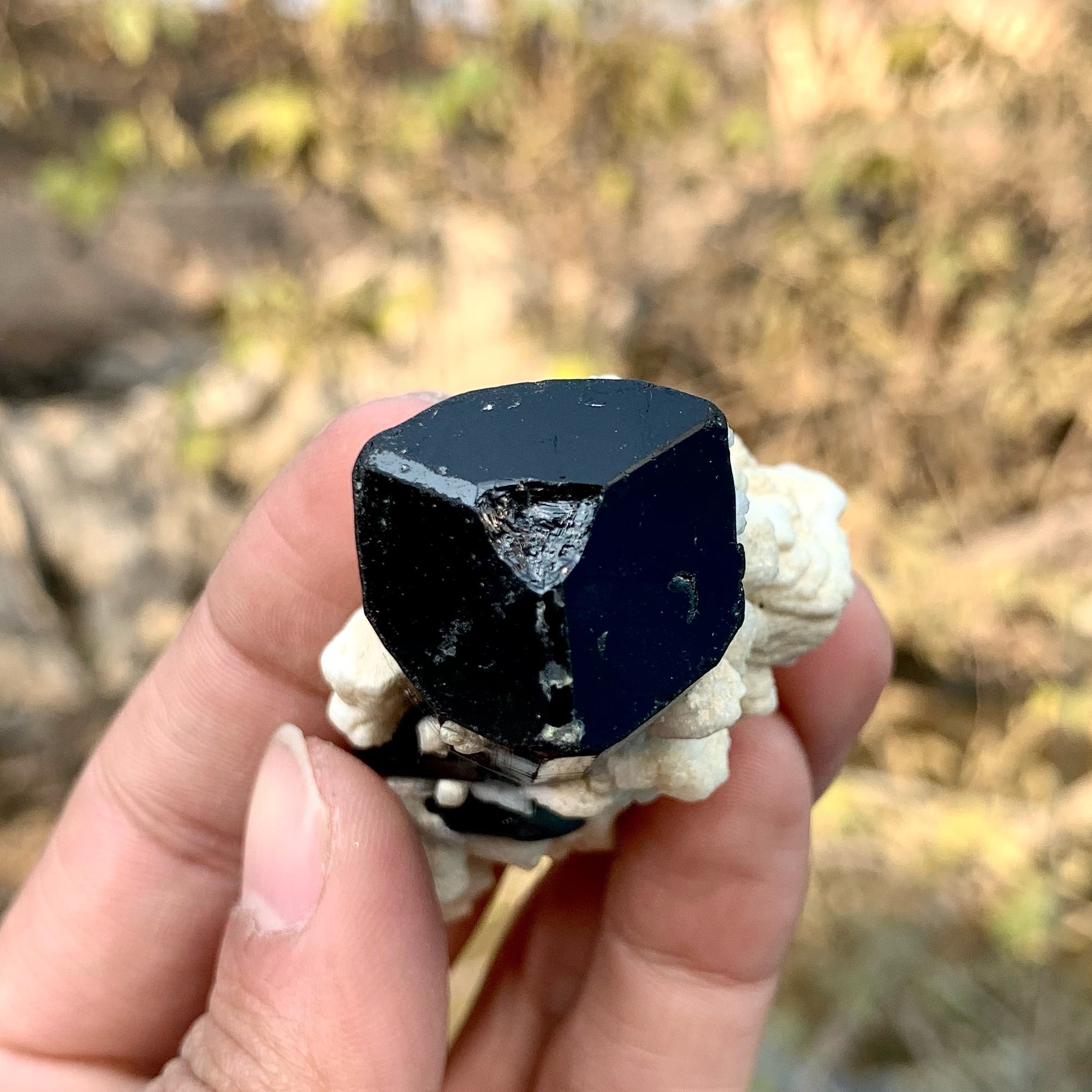 Lustrous Schorl Black Tourmaline Crystal With White Albite Matrix