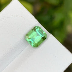 Magnificent Mint Green Tourmaline Gem