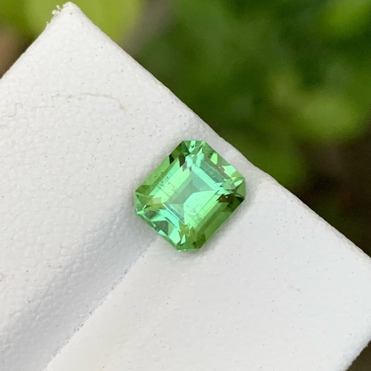 Magnificent Mint Green Tourmaline Gem