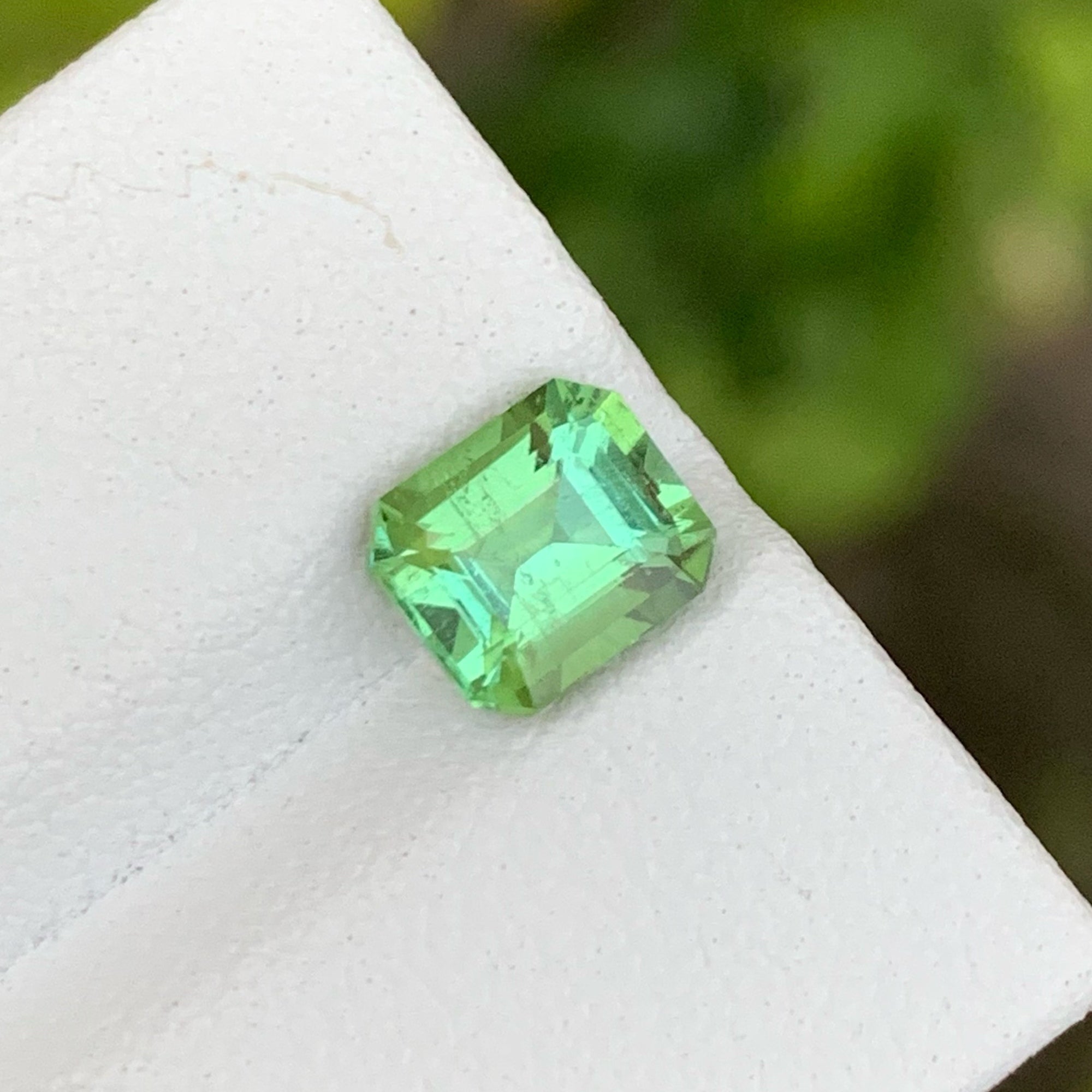 Magnificent Mint Green Tourmaline Gem