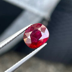 Majestic Natural Pigeon Blood Ruby Gem