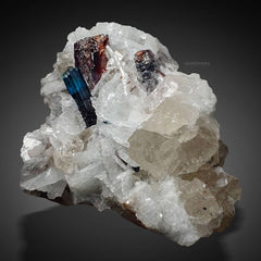 Manganotantalite with Indicolite Tourmaline on Quartz