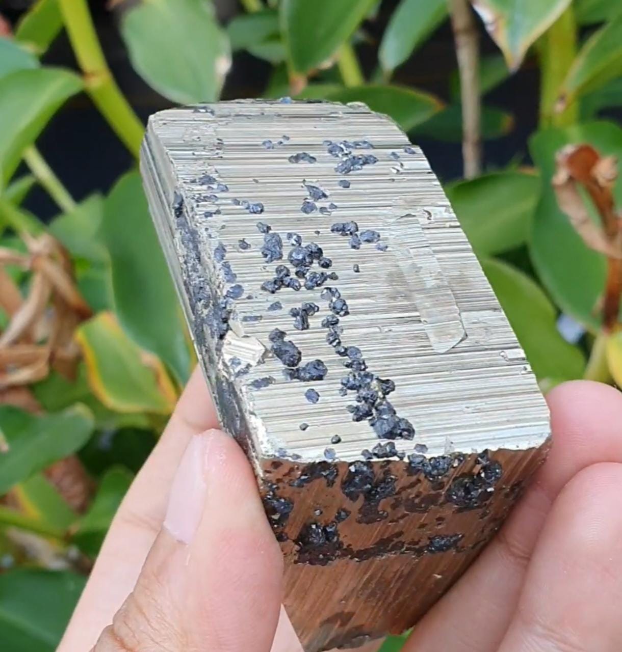 Mixed Cubic Pyritohedral Habit Pyrite with Sphalerite