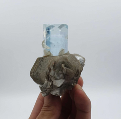 Multi Faced Gem Aquamarine on Silvery White Muscovite with Garnet