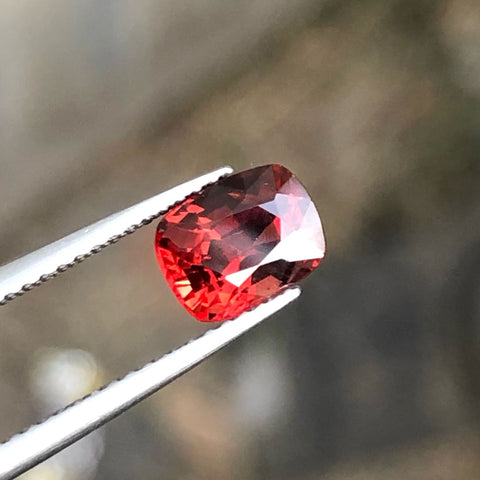 Loose Spinel