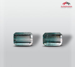 Natural Bicolor Tourmaline Gemstone Pair