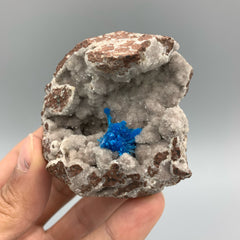 Neon Blue Pantagonite Crystal Cluster On Geode Quartz Matrix