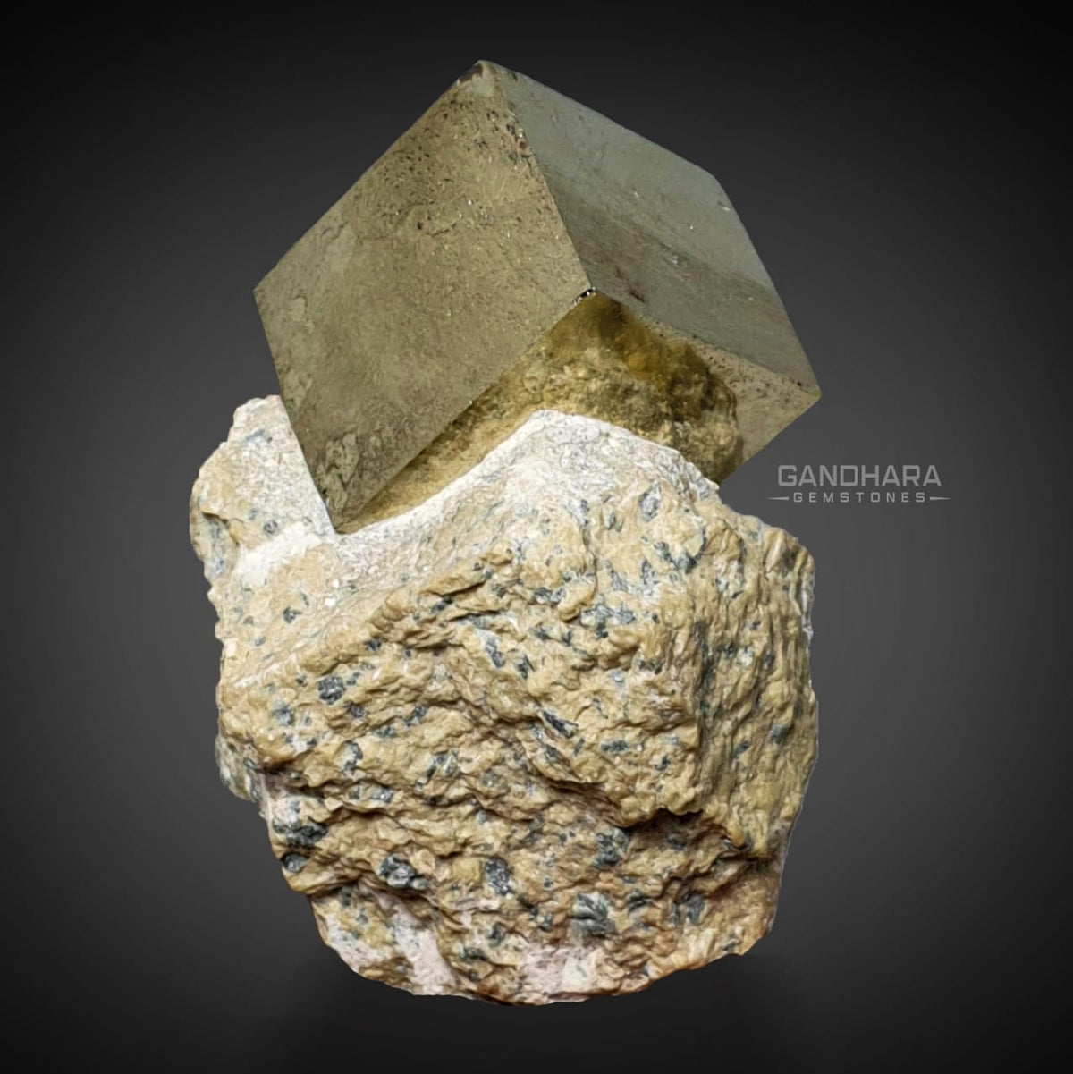 Perfect Cubic Pyrite Crystal Perched on Matrix