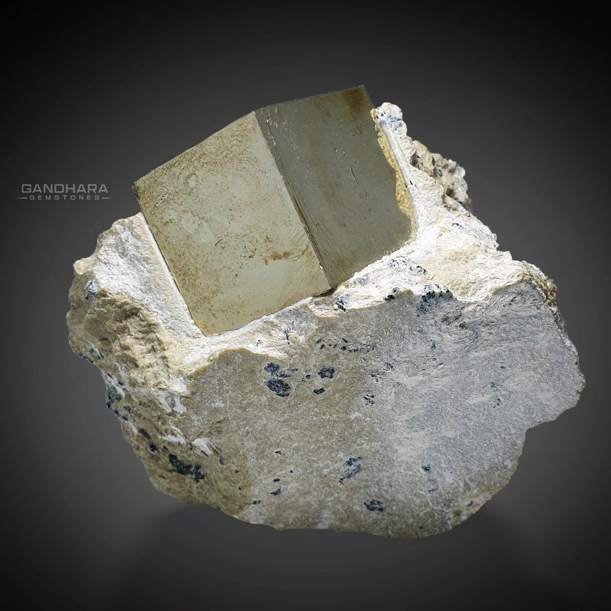 Perfect Pyrite Cube on Marl Matrix Specimen