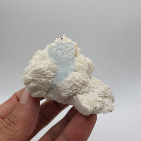 Perfect Gem Aquamarine Nestled on Lovely Milky White Cleavelandite