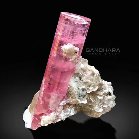 Pink Tourmaline Crystal Perched on Muscovite with Albite