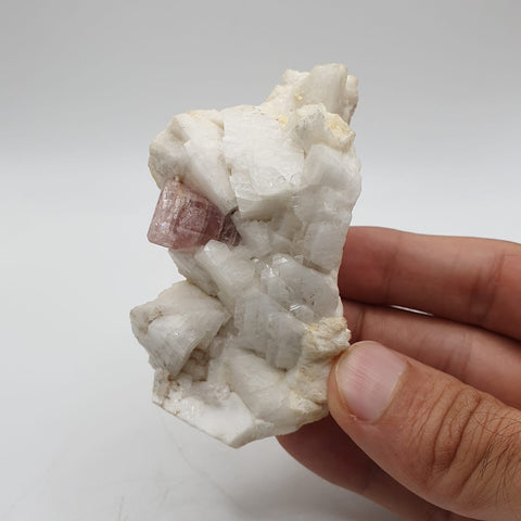 Pink Apatite Nicely Positioned on Creamy White Albite