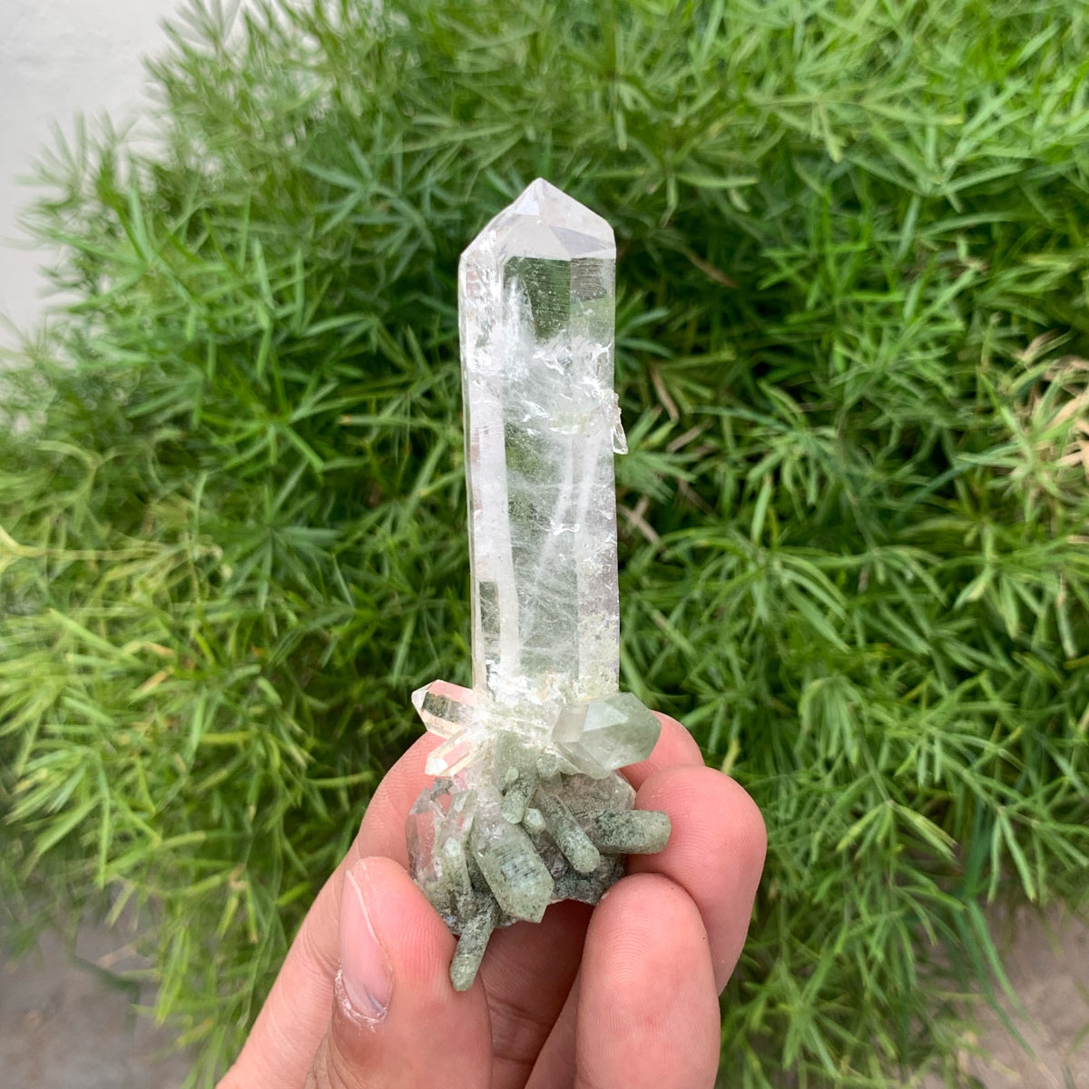 Pretty Quartz Crystal On Chlorite Included Quartz Cluster