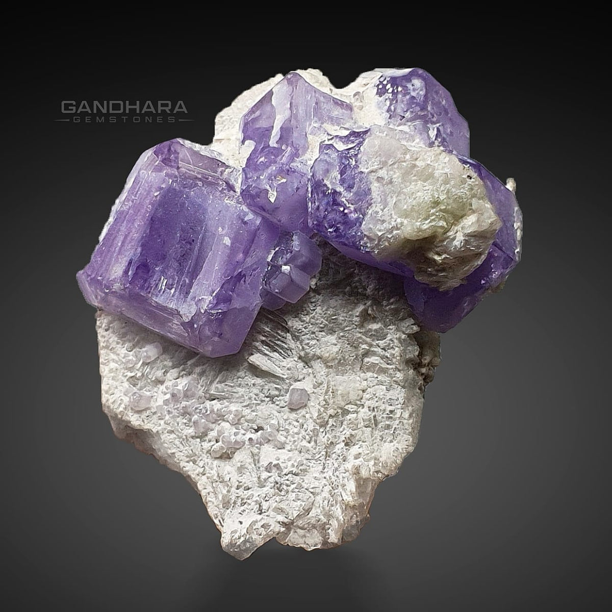 Purple Apatite Crystals on Contrasting White Matrix