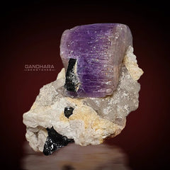 Purple Fluorapatite Specimen on Matrix with Schorl