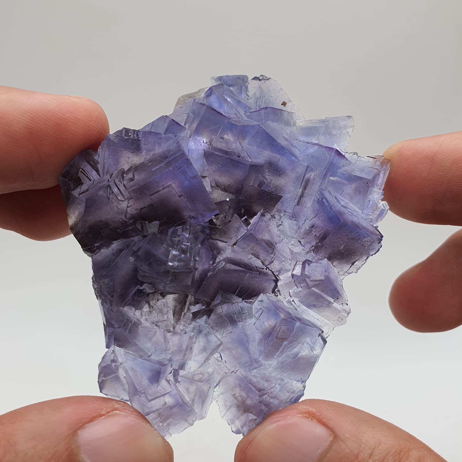 Purple Glassy Fluorite With Blue Color Zoning