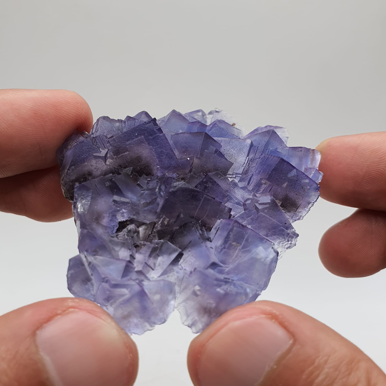 Purple Glassy Fluorite With Blue Color Zoning