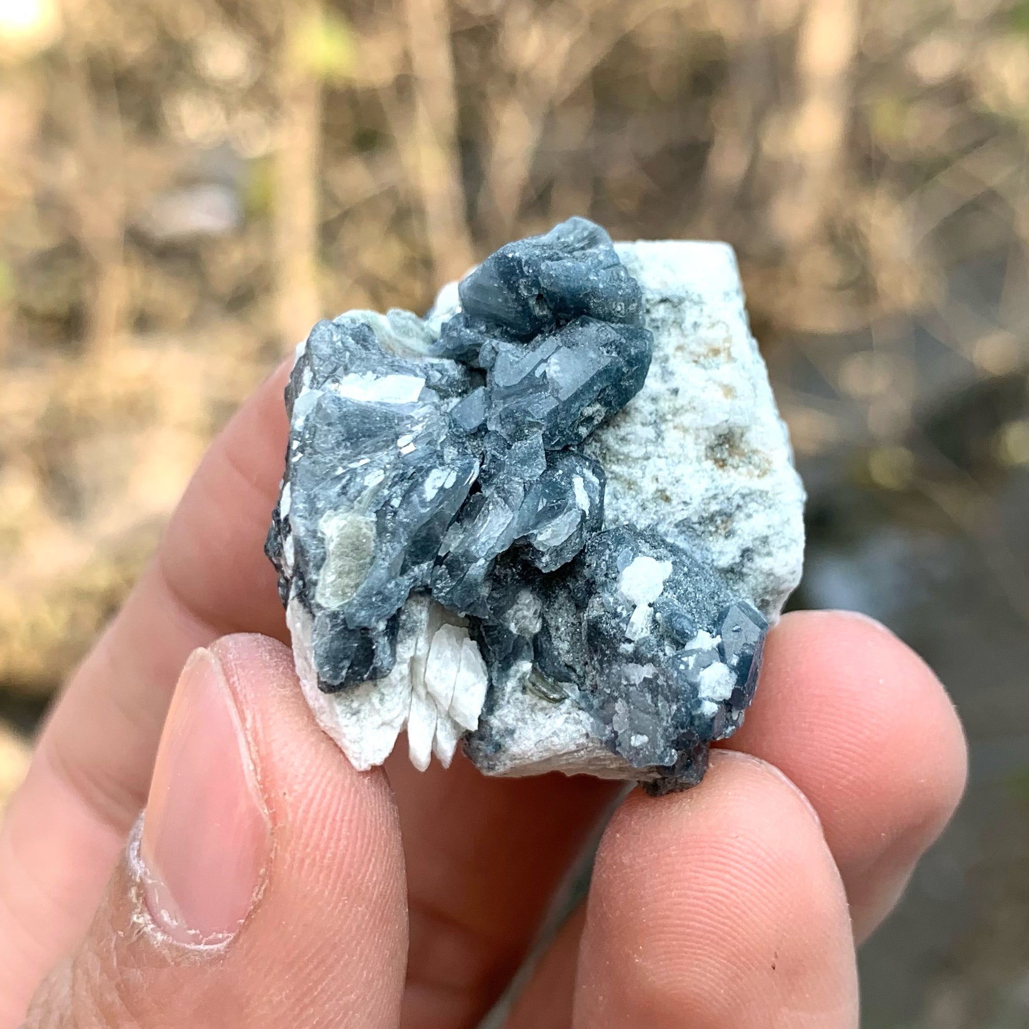 Rare Blue Quartz On White Albite