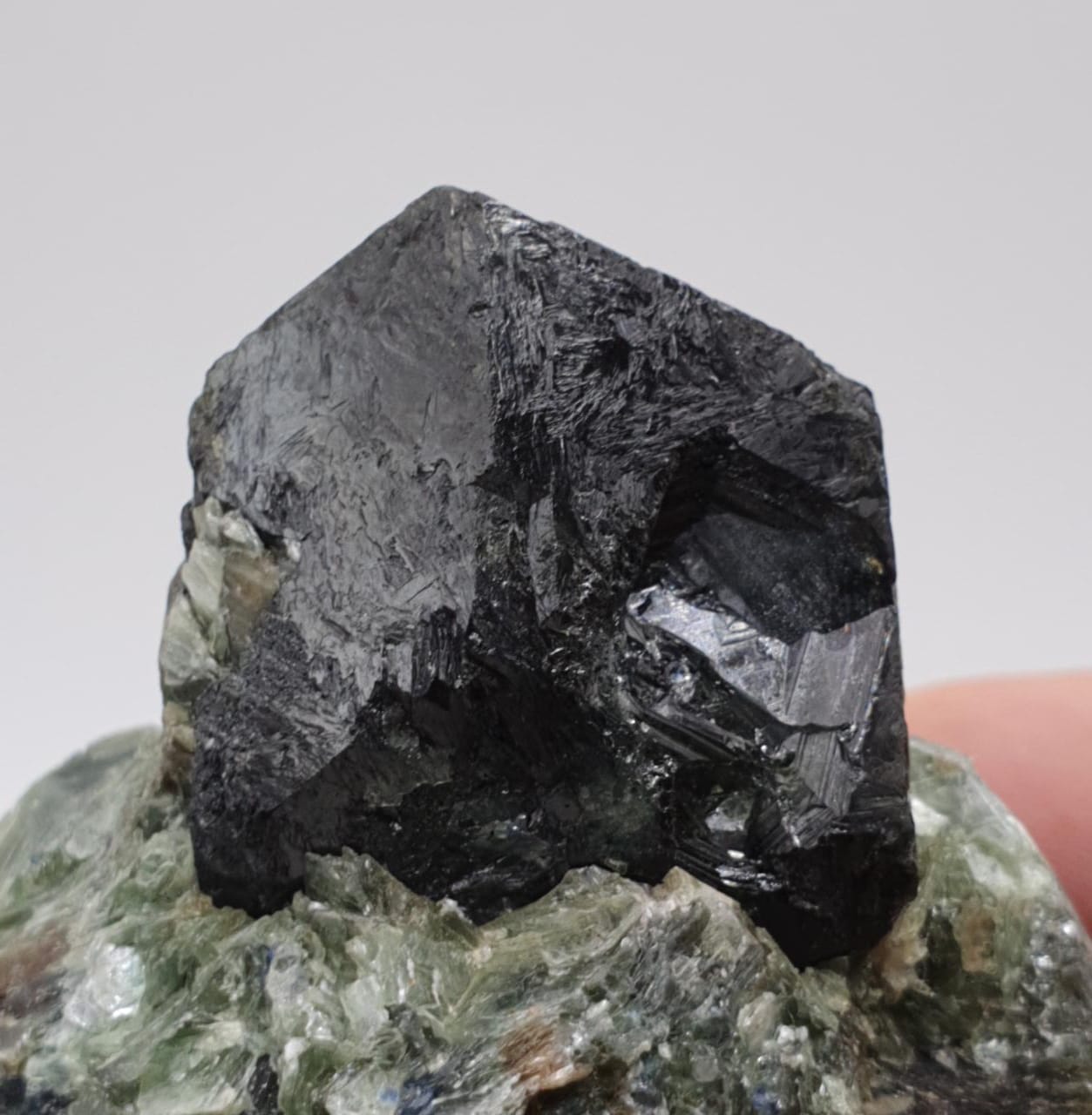 Rare Dravite Tourmaline On Matrix With Detailed Sapphire Crystals