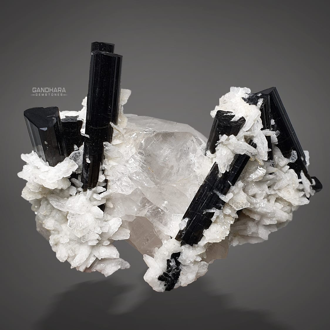 Robust Schorl Crystals Cluster on Quartz