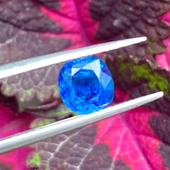 Royal Blue Sapphire - 1.15 carats