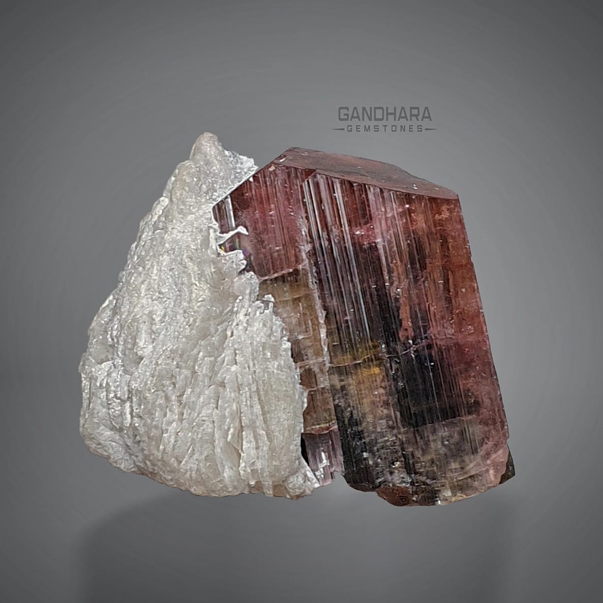 Rubellite Pink Tourmaline Crystal with Cleavelandite