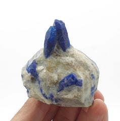 Sapphire Blue Attached Couple of Afghanite Crystals on Marble Matrix