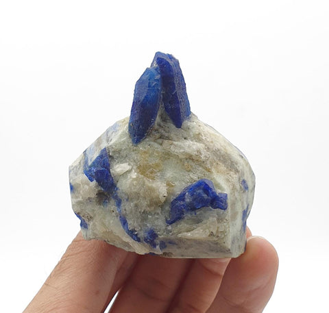 Sapphire Blue Attached Couple of Afghanite Crystals on Marble Matrix