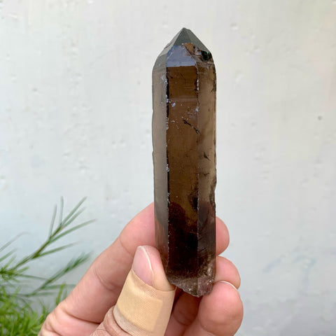 Saturated Dark Smoky Colour Quartz With Excellent Transparency
