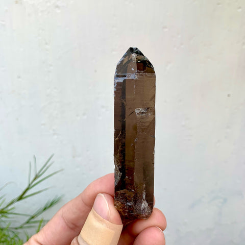 Saturated Dark Smoky Colour Quartz With Excellent Transparency