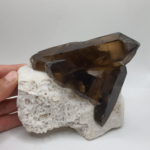 Saturated Smoky Quartz Crystals Shooting Out Of Albite Matrix