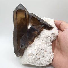 Saturated Smoky Quartz Crystals Shooting Out Of Albite Matrix