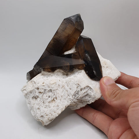 Saturated Smoky Quartz Crystals Shooting Out Of Albite Matrix